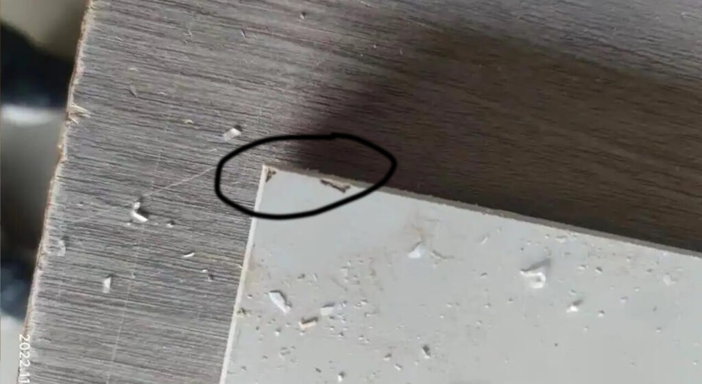 “Mice Teeth” Pattern in Glue Joint